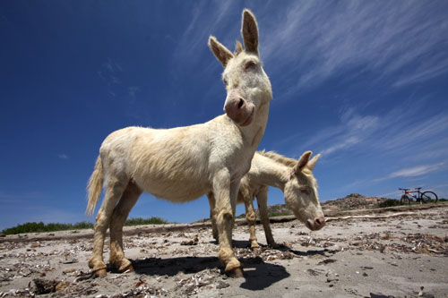 image de l'îles oubliées
